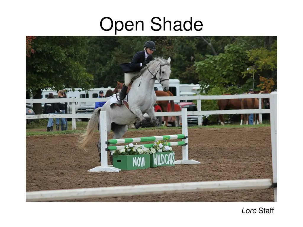 open shade