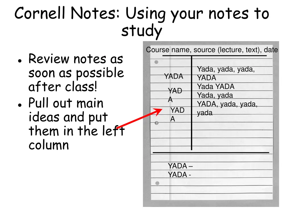cornell notes using your notes to study