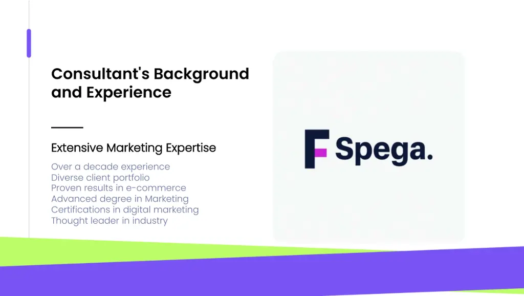 consultant s background and experience
