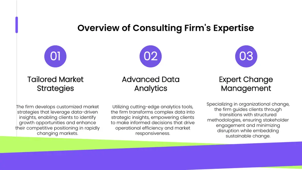 overview of consulting firm s expertise