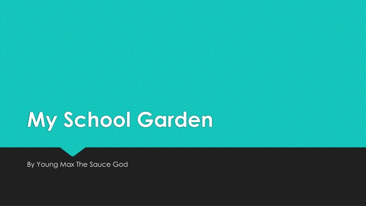 my school garden