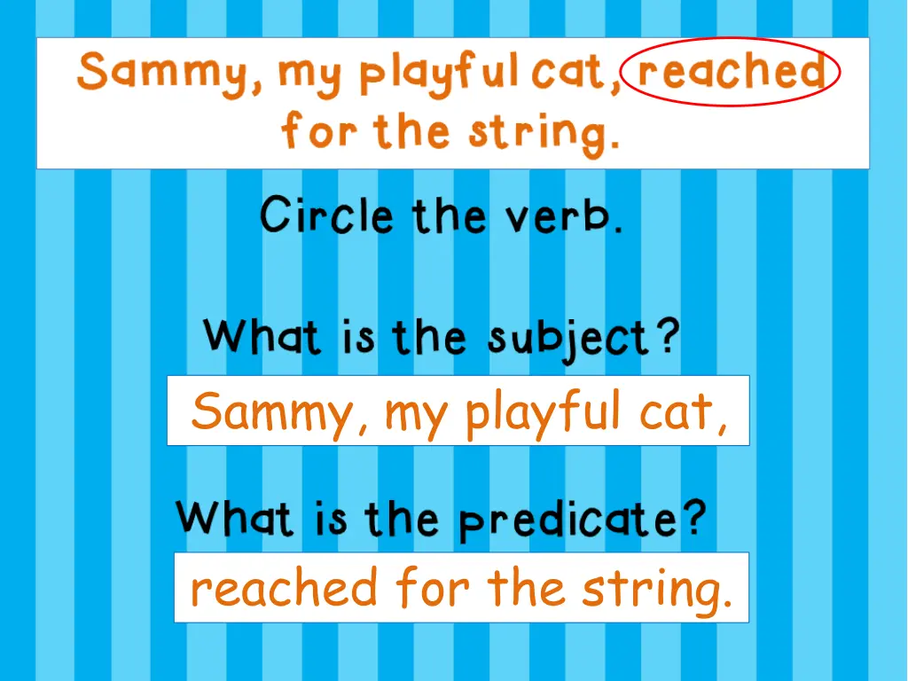 sammy my playful cat