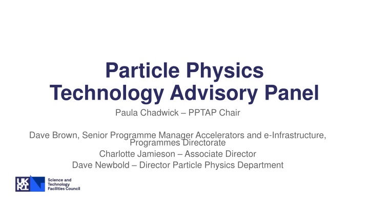 particle physics technology advisory panel paula