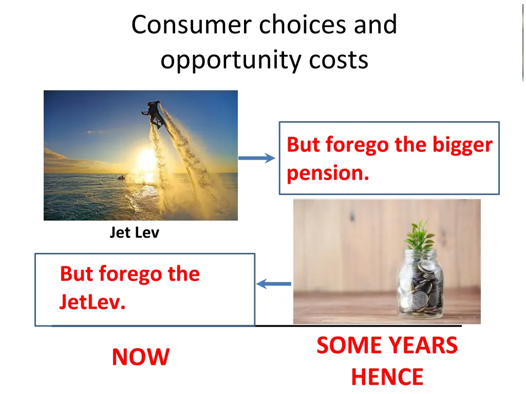 consumer choices and opportunity costs