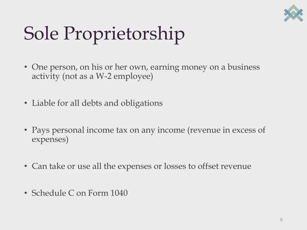 sole proprietorship