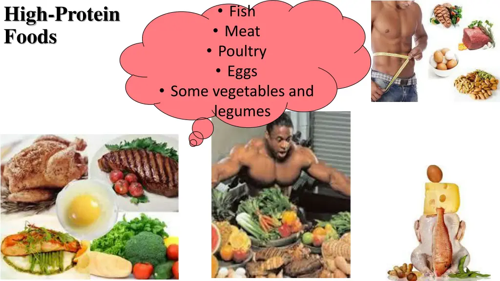 high protein foods