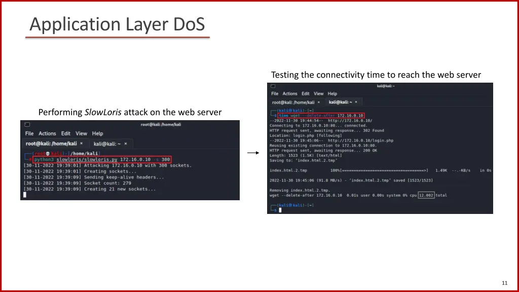 application layer dos