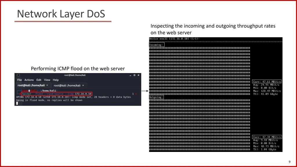 network layer dos