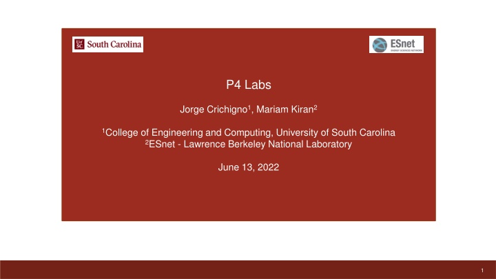 p4 labs