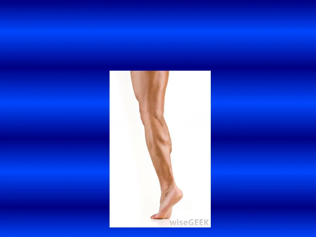 slide30