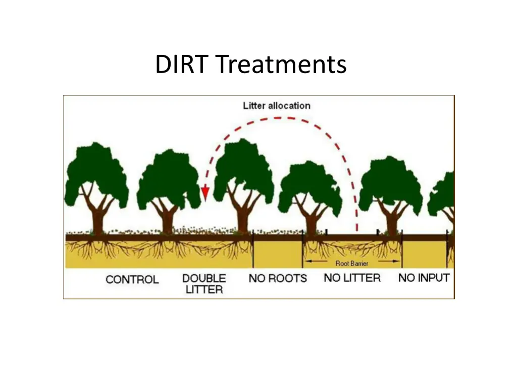dirt treatments