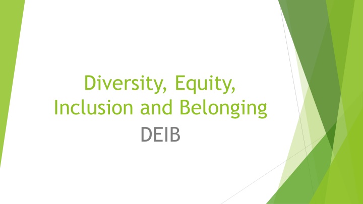 diversity equity inclusion and belonging deib