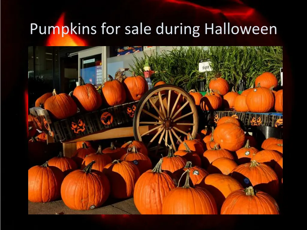 pumpkins for sale during halloween
