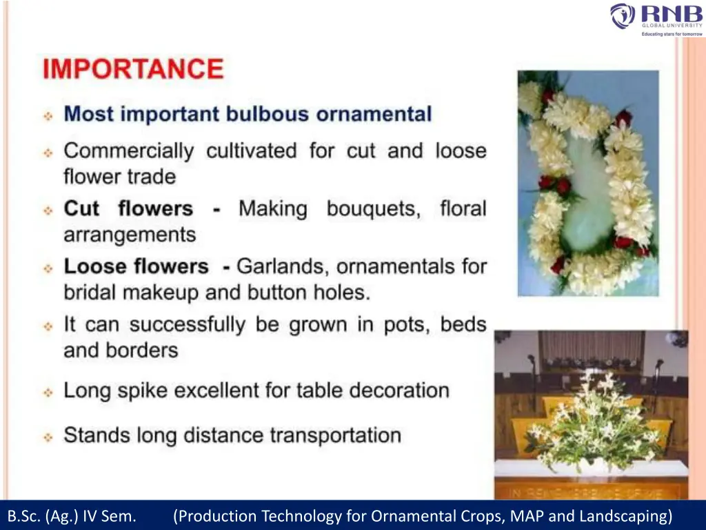 b sc ag iv sem production technology 1