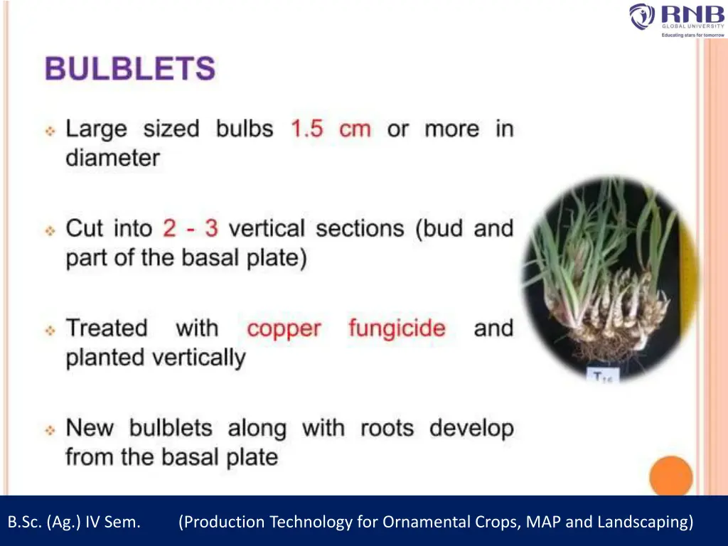 b sc ag iv sem production technology 13