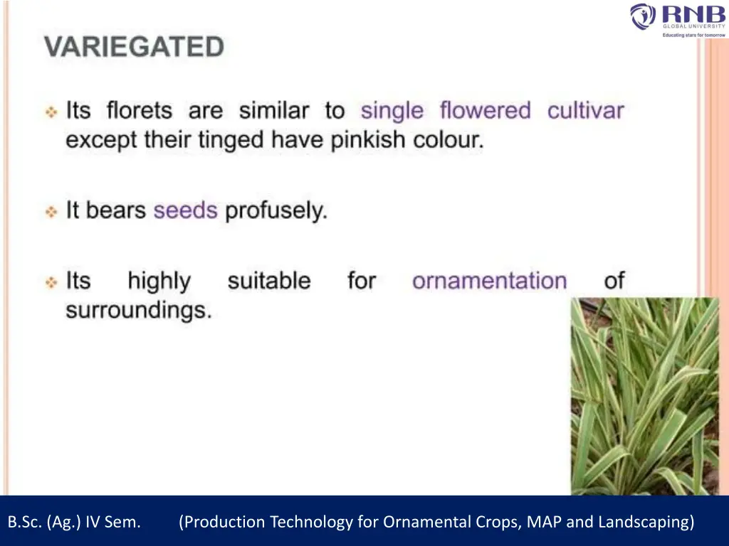 b sc ag iv sem production technology 8