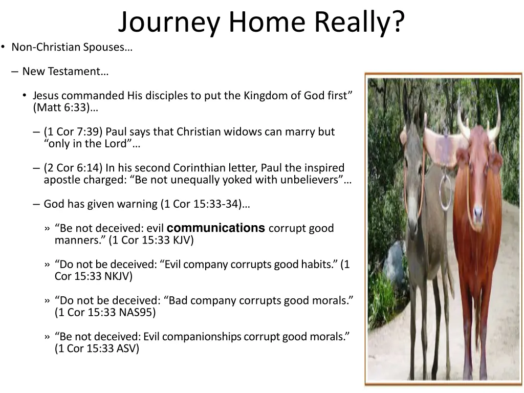 journey home really non christian spouses 2