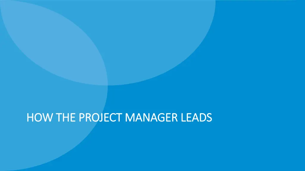 how the project manager leads how the project