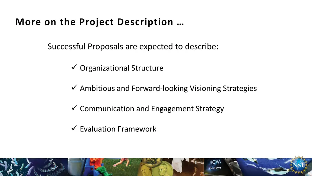 more on the project description