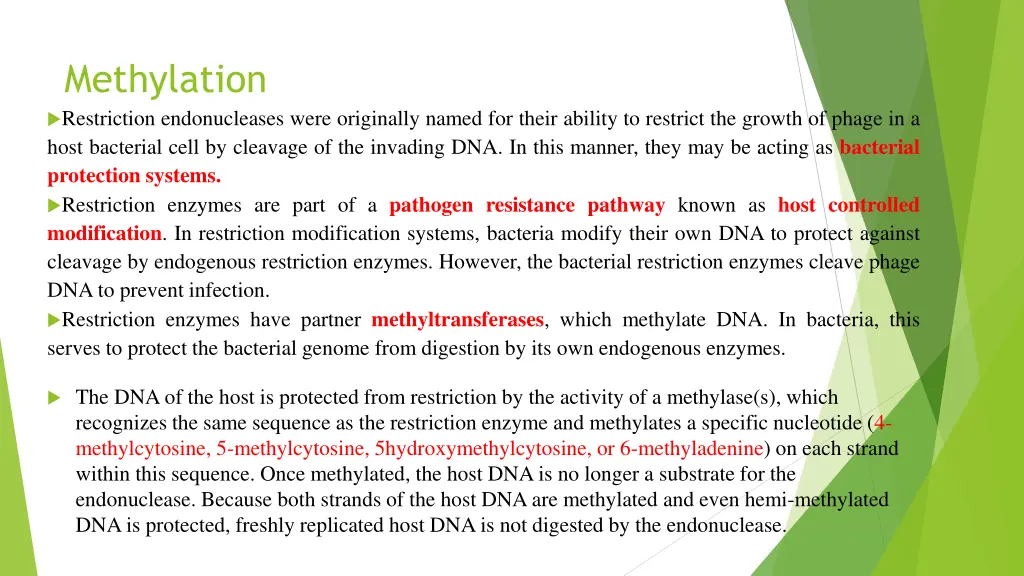 methylation restriction endonucleases were