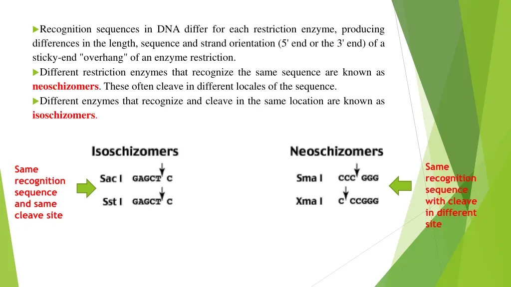 recognition sequences in dna differ for each