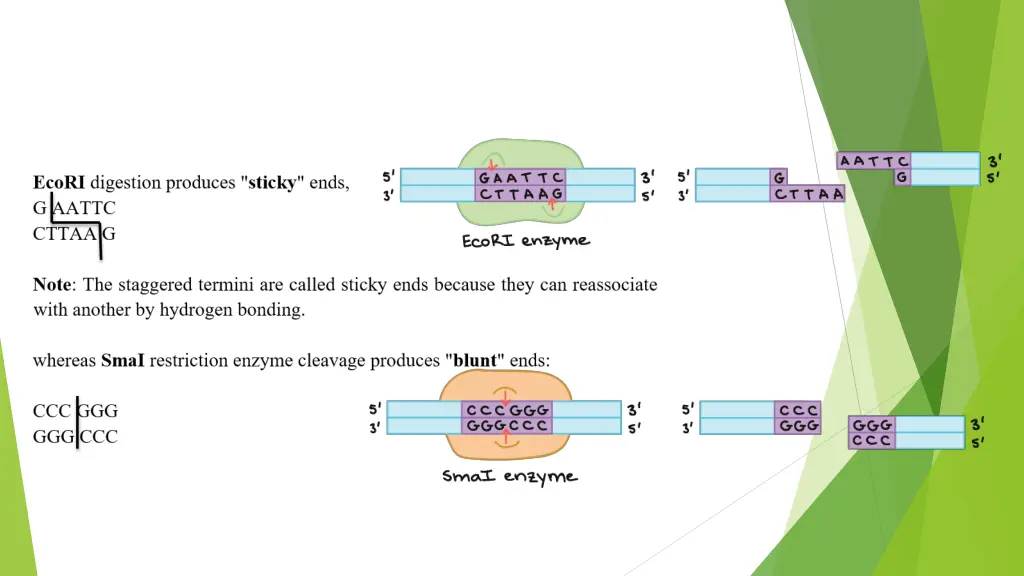 slide5