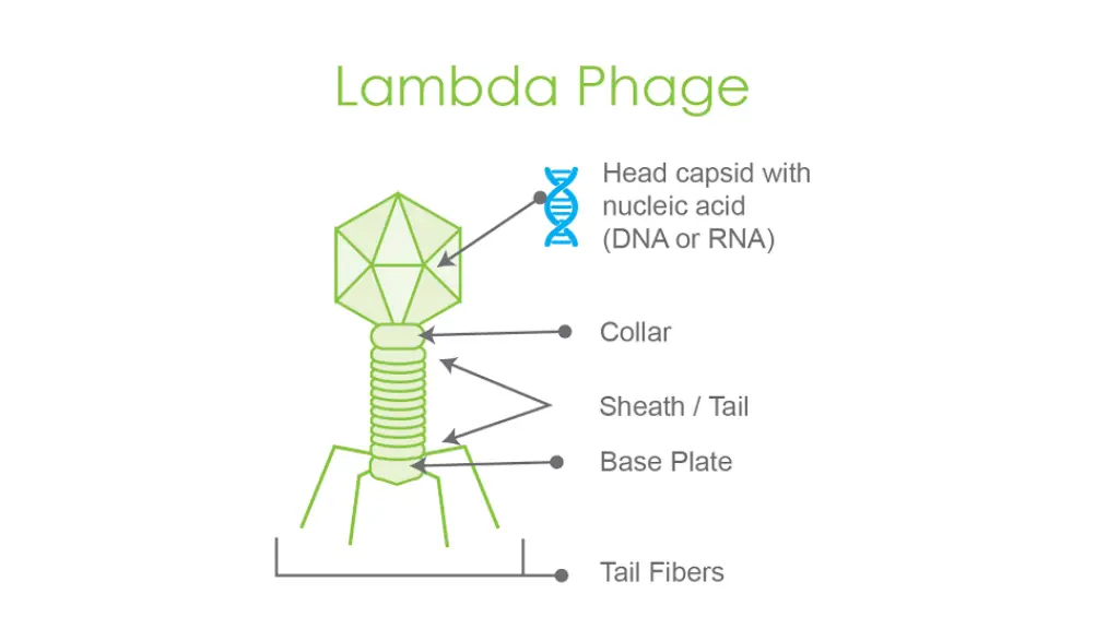 slide25
