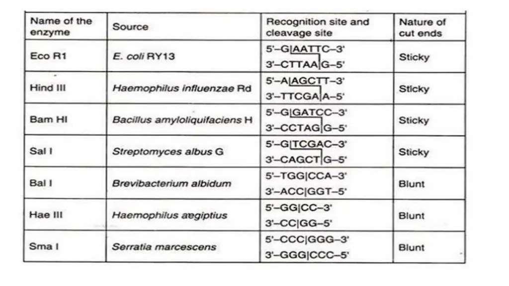 slide7