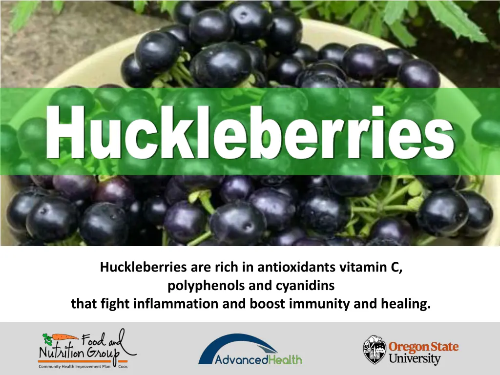 huckleberries huckleberries 2