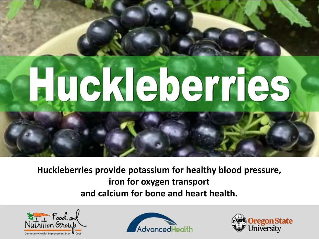 huckleberries huckleberries 4