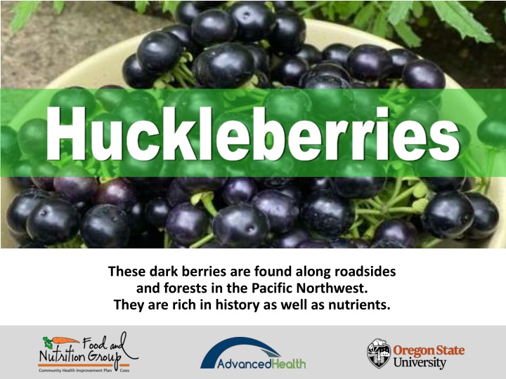 huckleberries huckleberries