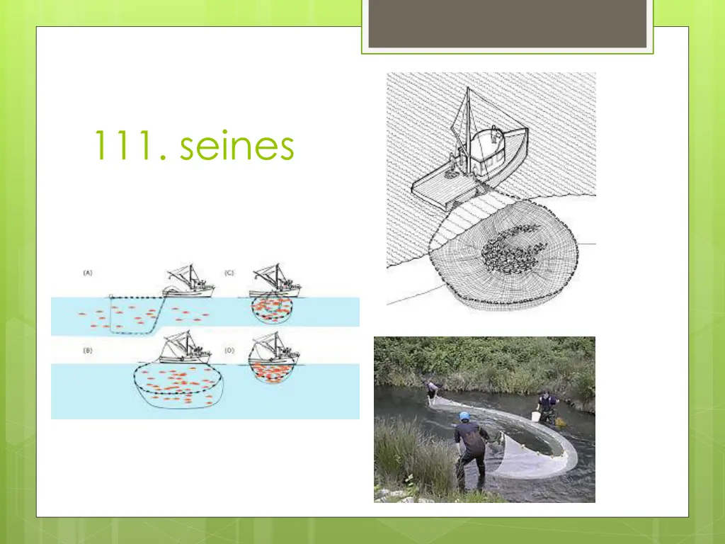 111 seines