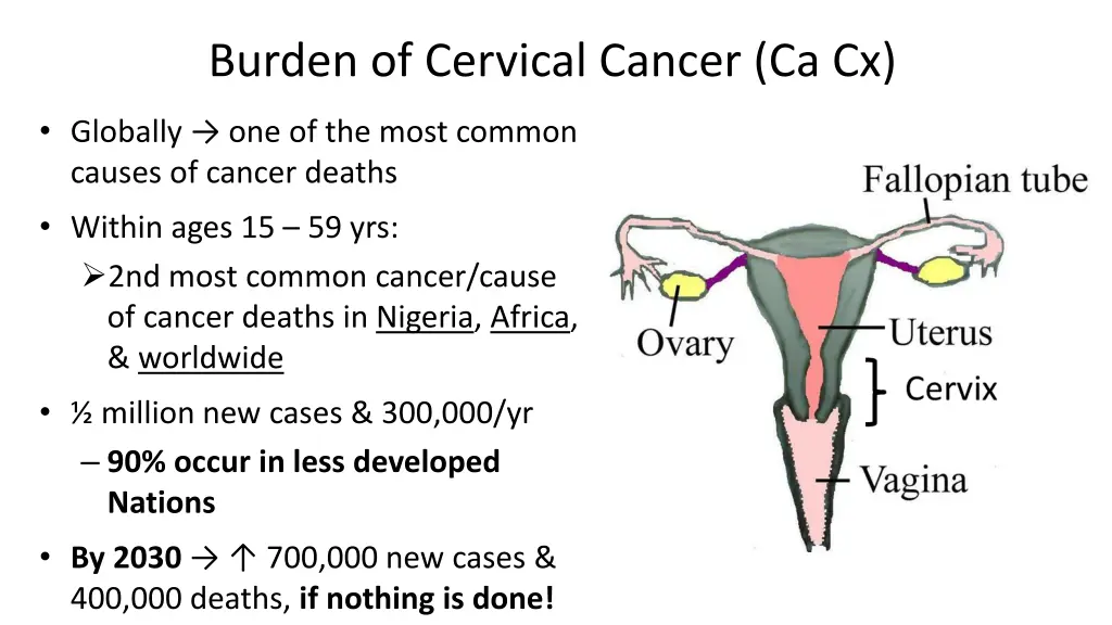 burden of cervical cancer ca cx