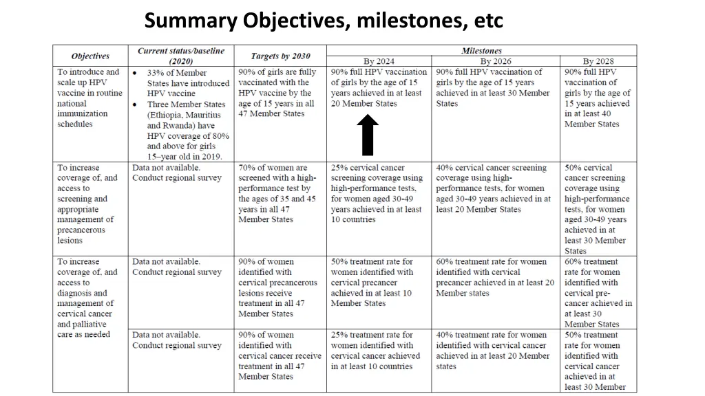 summary objectives milestones etc