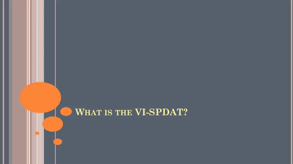 w hat is the vi spdat