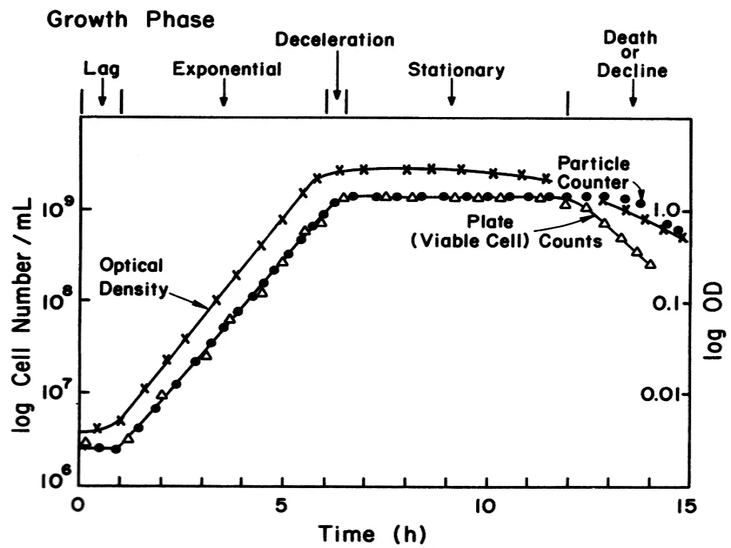 slide11