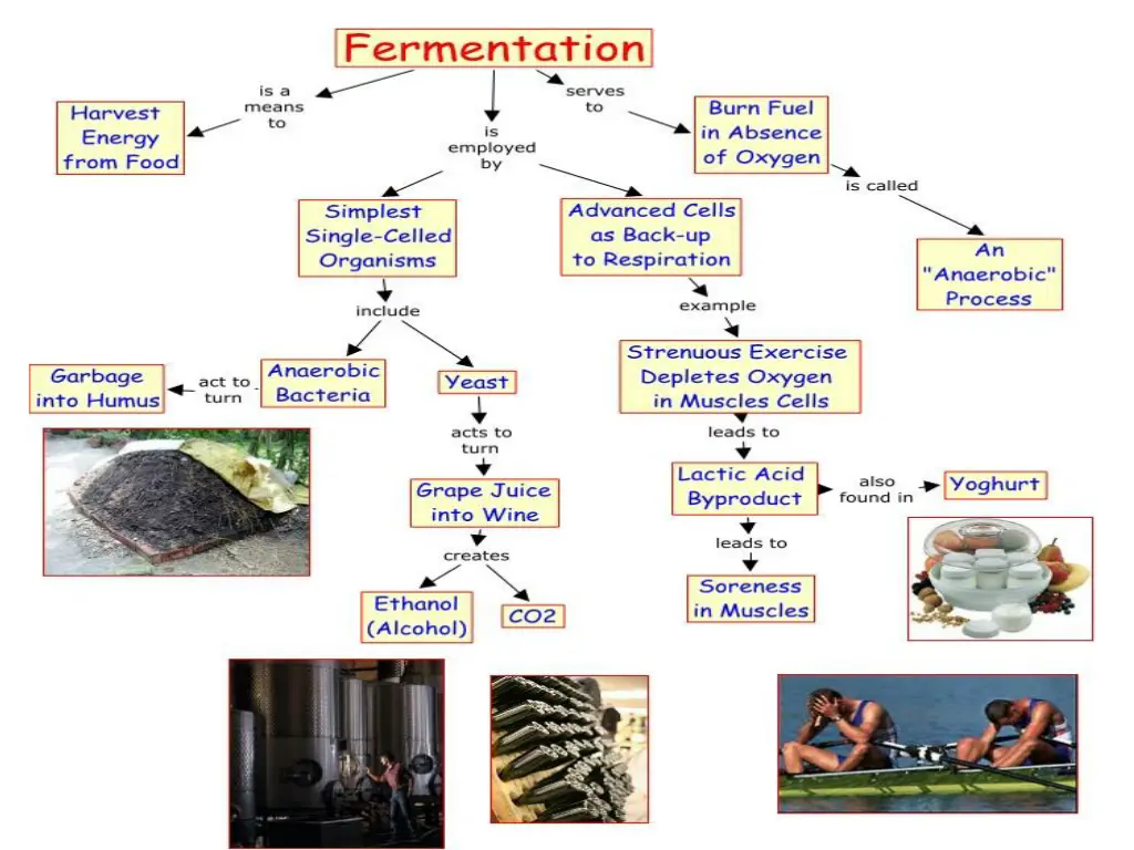 slide20