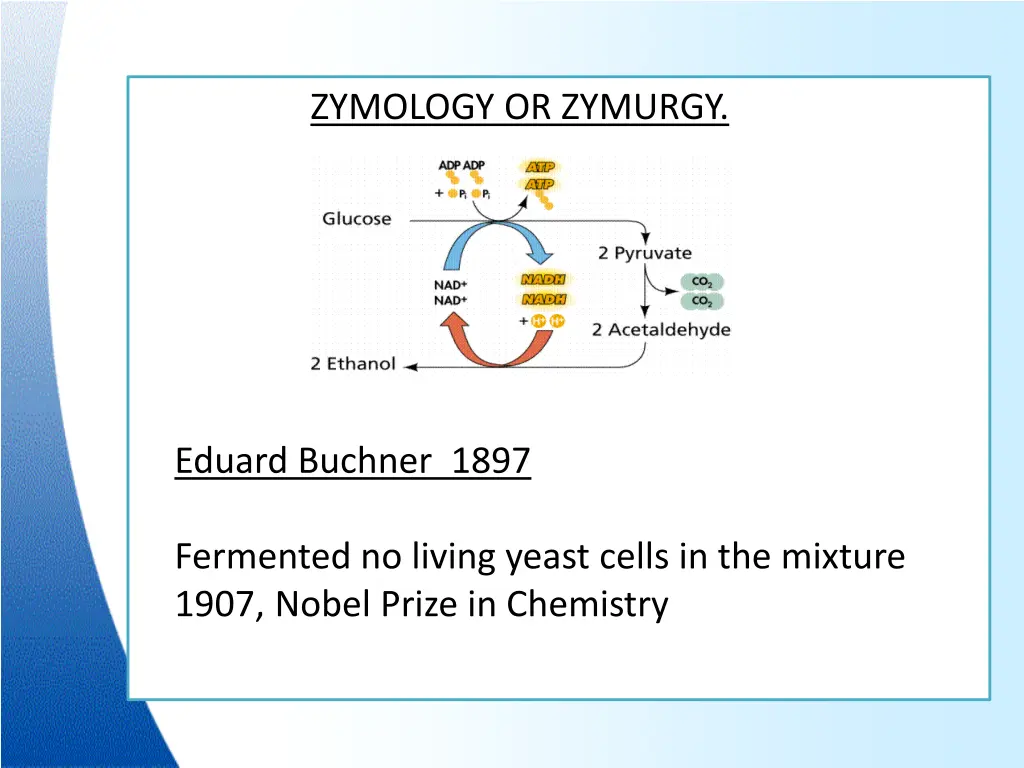 zymology or zymurgy