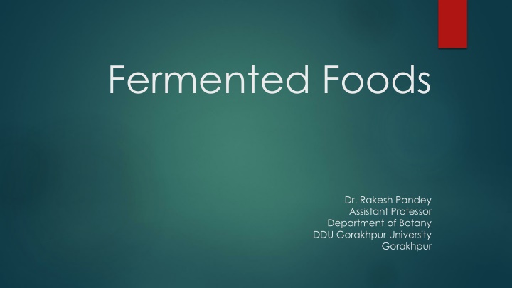 fermented foods