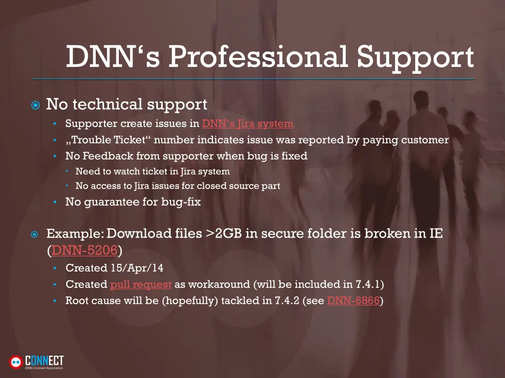 dnn s professional support