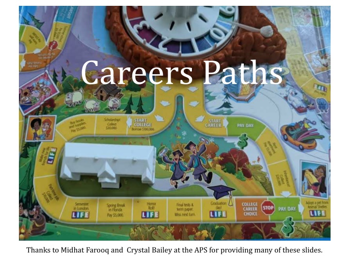 careers paths