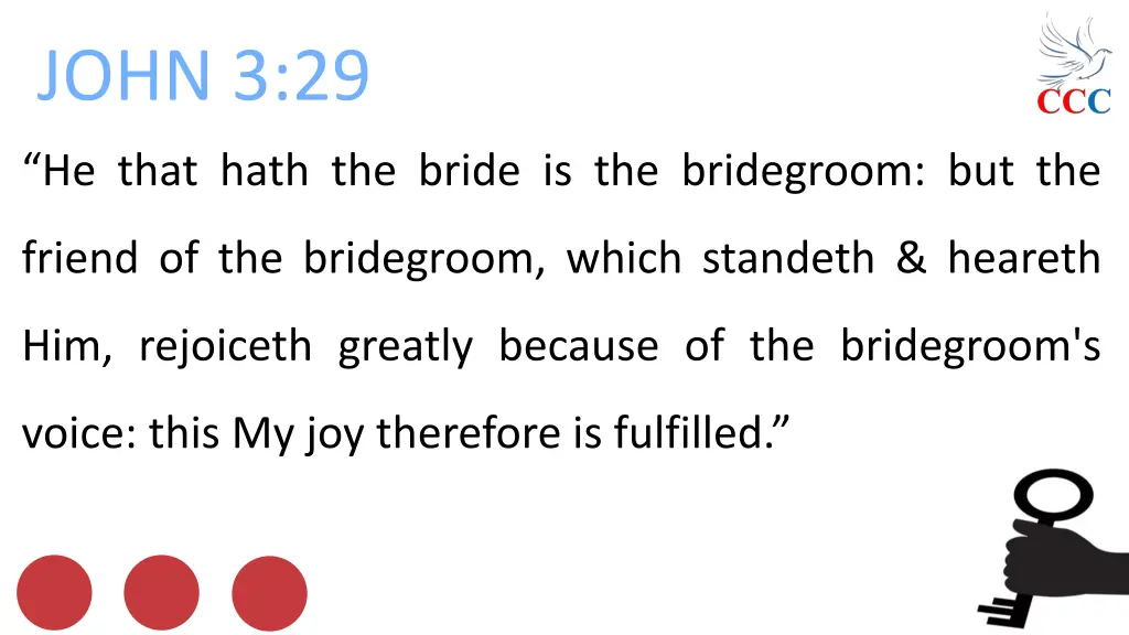 john 3 29