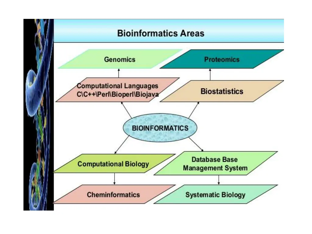 slide11