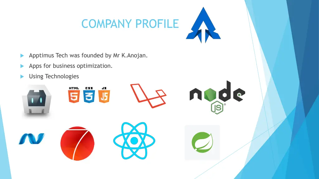 company profile