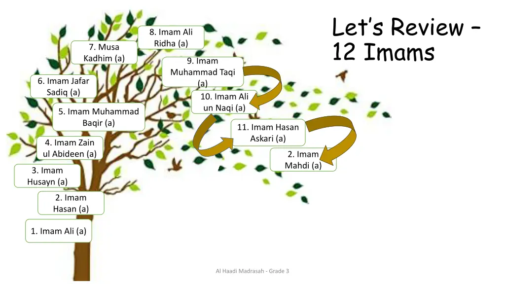 let s review 12 imams