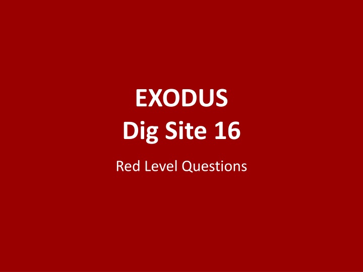exodus dig site 16
