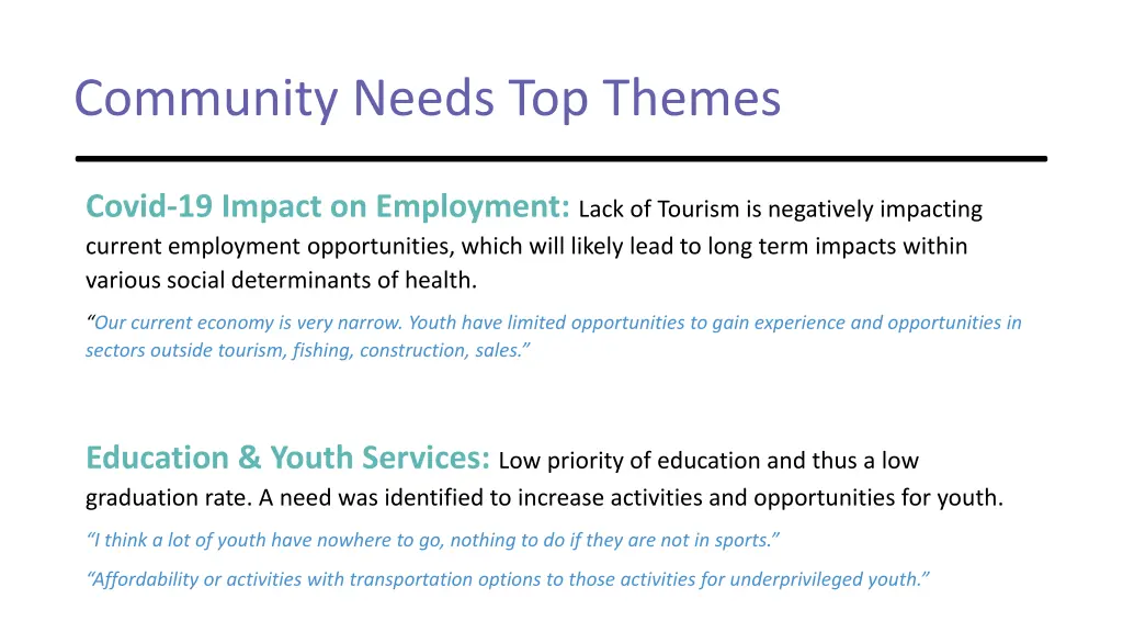 community needs top themes 2