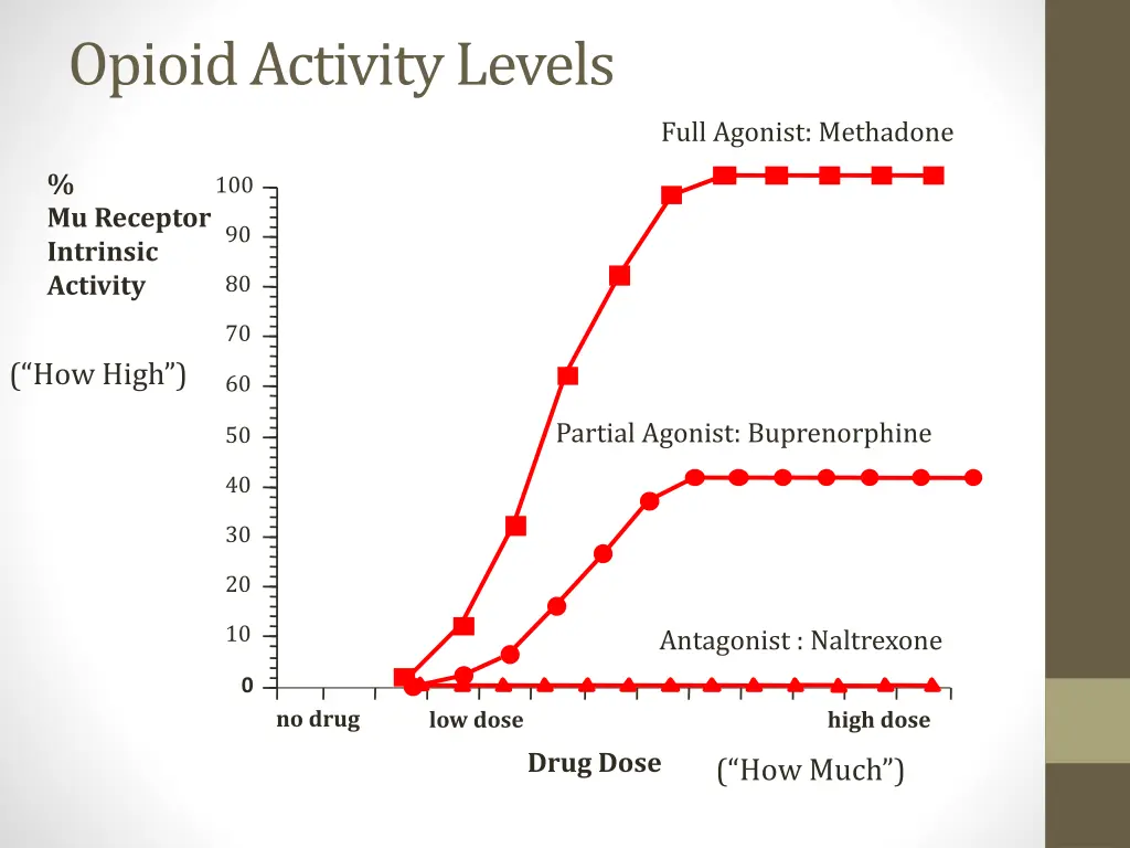 opioid activity levels