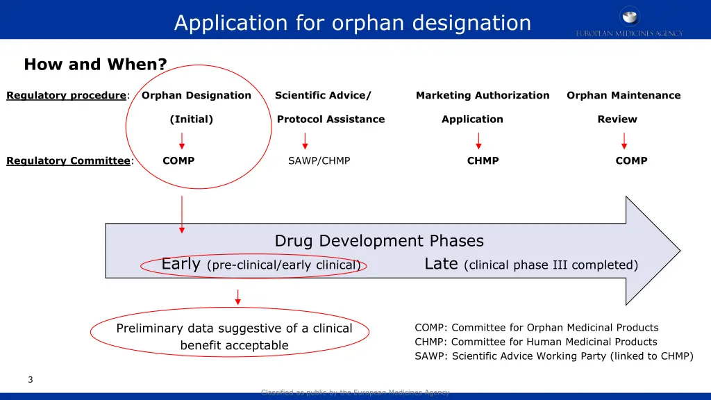 application for orphan designation