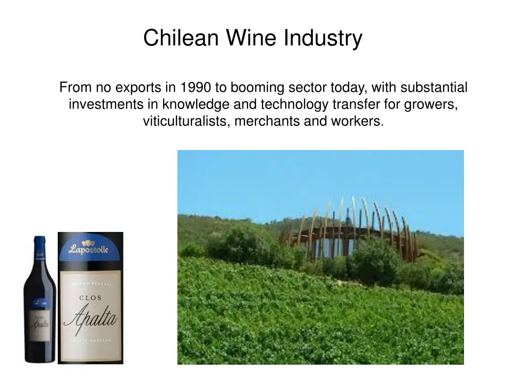 chilean wine industry